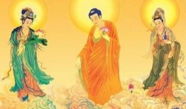 佛系明珠爆料神虎视频,神虎视频背后的神秘力量