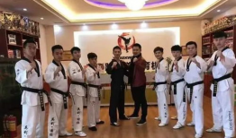 跆拳道最新爆料,神秘事件揭秘，高手对决背后的真相