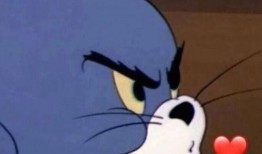 杰瑞女友爆料视频大全集,揭秘背后惊人真相