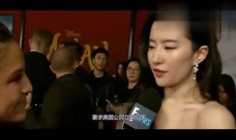 明星发声内涵爆料视频,明星发声，爆料视频背后的真相揭晓