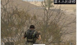 吃鸡端游最新爆料,新爆料揭秘端游全新玩法与升级内容