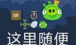 一只快乐吃瓜喵小说免费阅读,趣味横生的喵星奇遇记