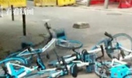 单车爆料视频大全集,揭秘骑行界的精彩瞬间与幕后故事