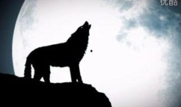 苍狼动漫在线观看,热血激战，在线观看的视觉盛宴