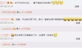 娱乐圈大爆料最新的网站,揭秘明星幕后真相，独家揭秘网站全新上线！