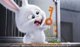 兔兔电影在线观看,畅享云端观影新体验