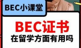 吃瓜视频爆料小说在线阅读,热门小说背后的故事