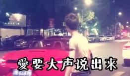 爱河 mv在线观看,浪漫旋律中的情感之旅