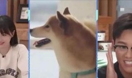 狗牙在线观看 在线观看,揭秘神秘家族的奇幻冒险之旅